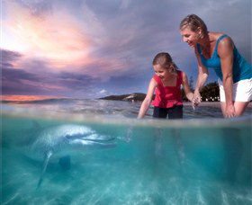 Moreton Island QLD Accommodation Newcastle