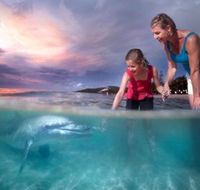 Tangalooma Island Resort - Accommodation Newcastle