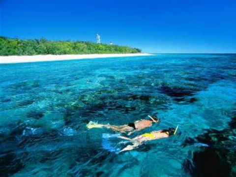 Lady Elliot Island Eco Resort - Day Trip - Accommodation Newcastle 0