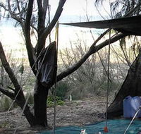 Main Beach Foreshore Camping Grounds - Accommodation Newcastle