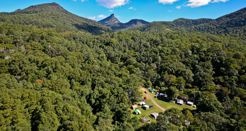 Mt Warning Rainforest Park - Accommodation Newcastle 8