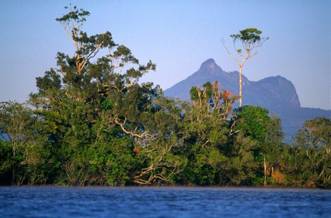 Mt Warning Rainforest Park - Accommodation Newcastle 10