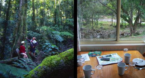 Mt Warning Rainforest Park - Accommodation Newcastle 17