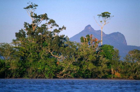 Mt Warning Rainforest Park - Accommodation Newcastle 20