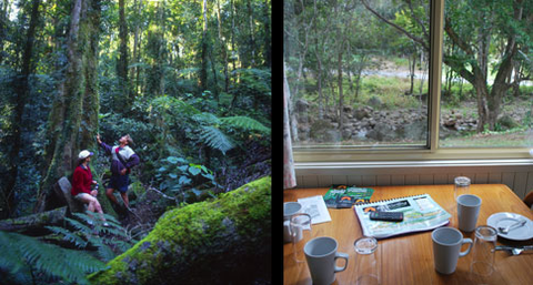 Mt Warning Rainforest Park - Accommodation Newcastle 12