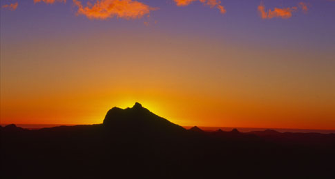 Mt Warning Rainforest Park - Accommodation Newcastle 14