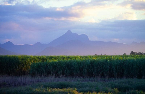 Mt Warning Rainforest Park - Accommodation Newcastle 16