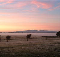 Promhills Cabins - Accommodation Newcastle