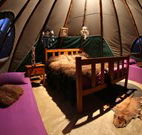Aranyani Bison Adventure Tourist Park - Accommodation Newcastle