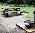 Bellbird campground - Accommodation Newcastle