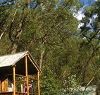 Clarence River Wilderness Lodge - Accommodation Newcastle