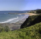 Coledale Beach Camping Reserve