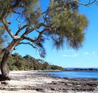 Currarong Beachside Holiday Park - Accommodation Newcastle