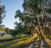 Delicate campground - Accommodation Newcastle