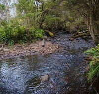 Horse Swamp campground - Accommodation Newcastle