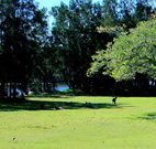 Island View Caravan Park and Holiday Cottages - Accommodation Newcastle