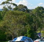 Milton Valley Holiday Park - Accommodation Newcastle