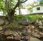 Mt Warning Rainforest Park - Accommodation Newcastle