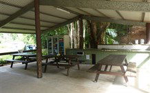Mt Warning Rainforest Park - Accommodation Newcastle 4