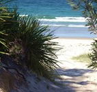 Myola Tourist Resort Caravan Park - Accommodation Newcastle