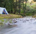 Nymboida Camping  Canoeing - Accommodation Newcastle