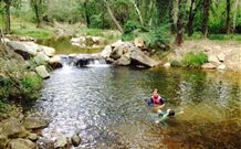Nymboida Camping & Canoeing - Accommodation Newcastle 2