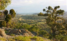 Old Bara - Accommodation Newcastle 6