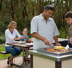 Port Stephens Treescape - Accommodation Newcastle