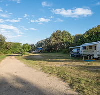 Racecourse Campground - Accommodation Newcastle