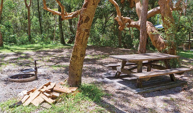 Warragai Creek NSW Accommodation Newcastle