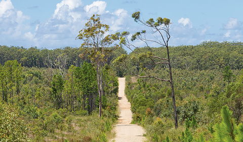 Station Creek Campground - Accommodation Newcastle 1