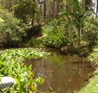 Tallowood Ridge B and B - Accommodation Newcastle