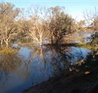 Warrawong on the Darling - Accommodation Newcastle