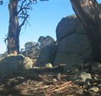 Warreen Farmstay Rural Accommodation - Accommodation Newcastle