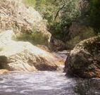 Wee Jasper Reserves Camping Sites - Accommodation Newcastle