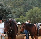 Chesleigh Homestead - Accommodation Newcastle