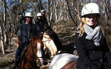 JE Resort (Jindabyne Equestrian Resort) - Accommodation Newcastle 1
