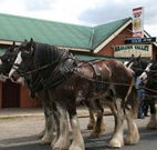 Araluen Valley Hotel - Araluen - Accommodation Newcastle