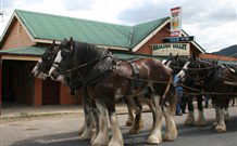 Araluen Valley Hotel - Araluen - Accommodation Newcastle 0