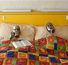 Budget Winchester Motel - Moree - Accommodation Newcastle