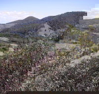 Blackbird Flat Camping Ground - Accommodation Newcastle