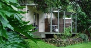Mt Warning Rainforest Park - Accommodation Newcastle 6