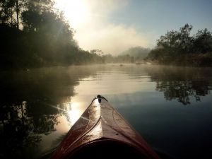 Nymboida Camping & Canoeing - Accommodation Newcastle 4