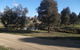 Delegate Caravan Park - thumb 2