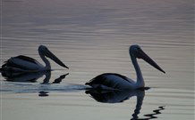 Lakeview Motor Inn - Belmont - Accommodation Newcastle 0