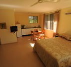 Ned's Bed Horse and Dog-Otel - Clybucca - Accommodation Newcastle