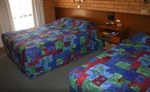 Newell Motor Inn - Narrandera - Accommodation Newcastle 1