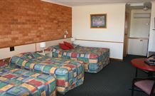 Newell Motor Inn - Narrandera - Accommodation Newcastle 4