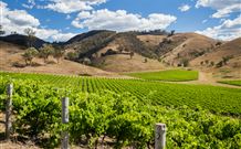 Soldiers Motel - Mudgee - Accommodation Newcastle 6