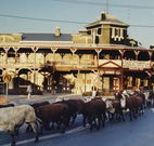 The Commercial Hotel  Coonamble